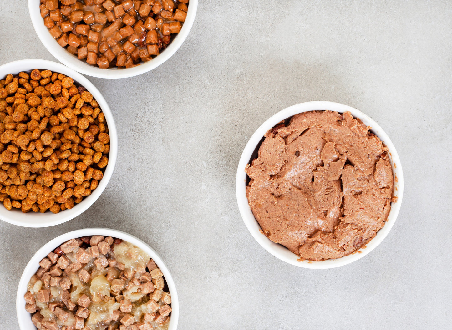 Alimentazione secca vs. umida: quale scegliere?