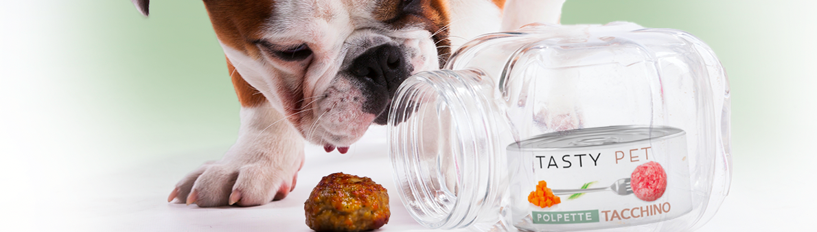 Le 12 curiosità sui cani che non sapevi