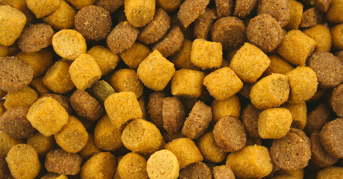 Sai cosa c'è nei croccantini che dai tutti i giorni al tuo cane?